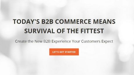 Descubriendo Magento B2B Program