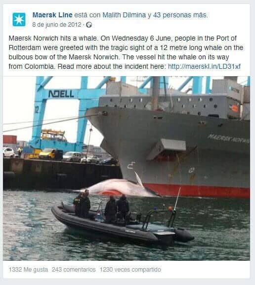Imágen post Maersk ballena