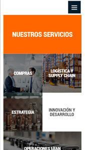 sgs servivios